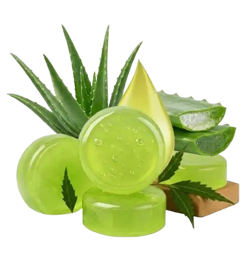 Aloe Vera Herbal Soap 90g - Hydrating and Soothing Daily Care